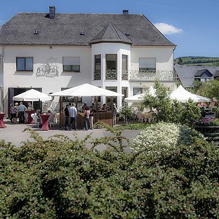 Gaestehaus Und Weingut Bernd Frieden Nittel Exteriör bild