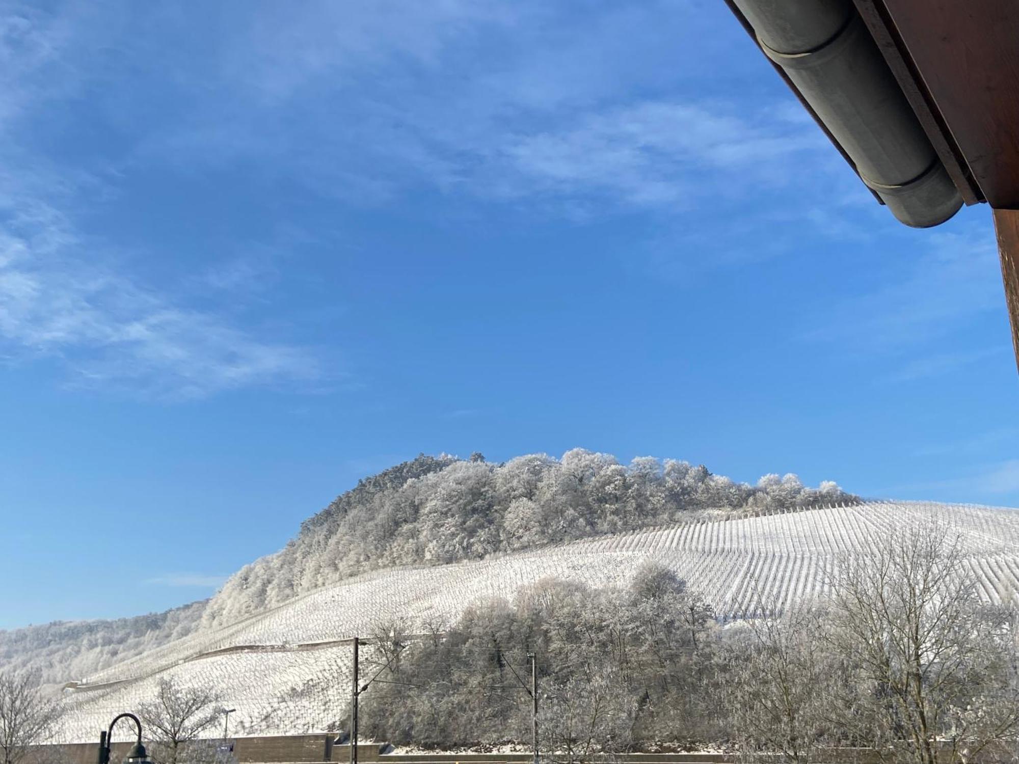 Gastehaus Und Weingut Bernd Frieden Hotell Nittel Exteriör bild