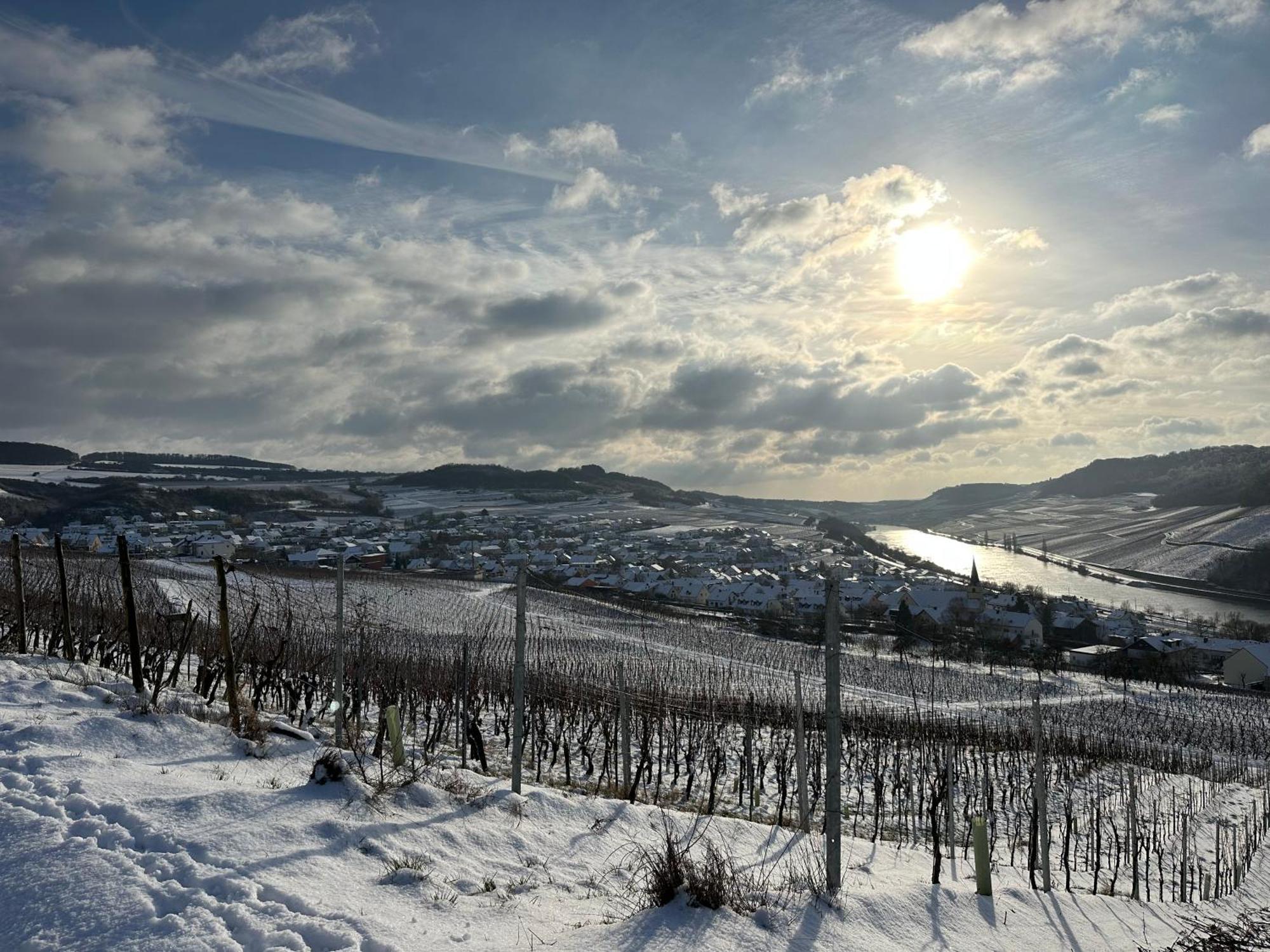 Gastehaus Und Weingut Bernd Frieden Hotell Nittel Exteriör bild