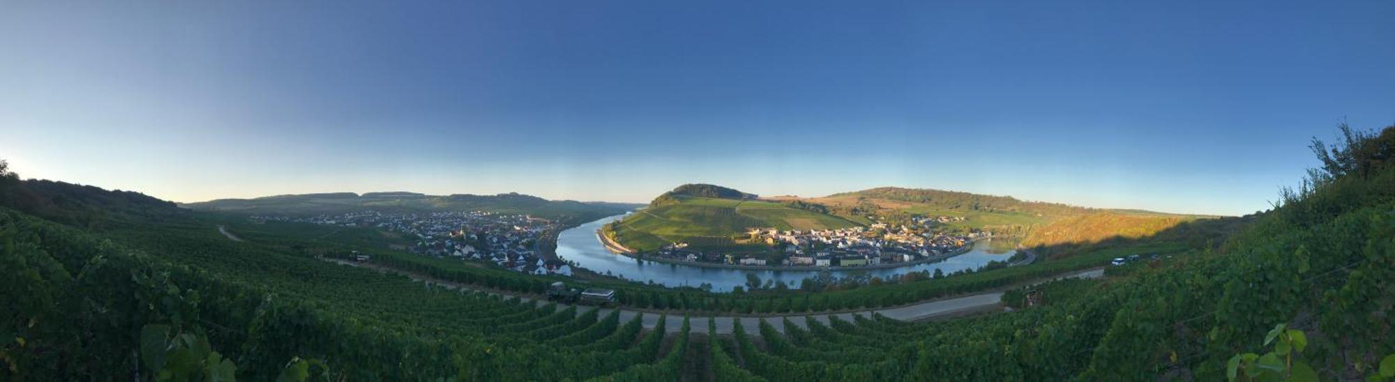Gaestehaus Und Weingut Bernd Frieden Nittel Exteriör bild