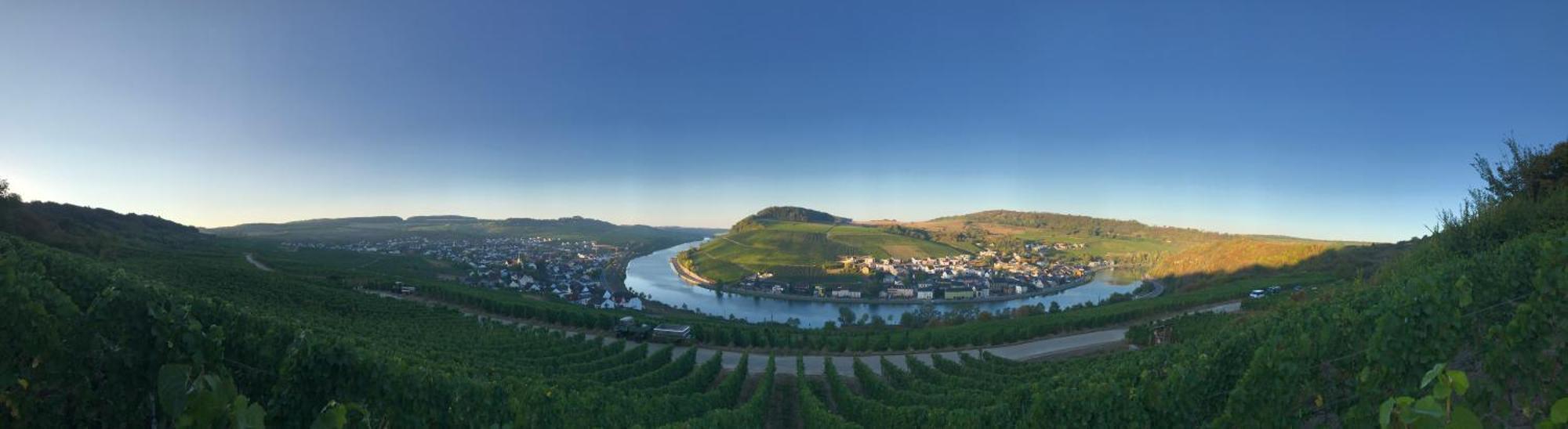 Gastehaus Und Weingut Bernd Frieden Hotell Nittel Exteriör bild