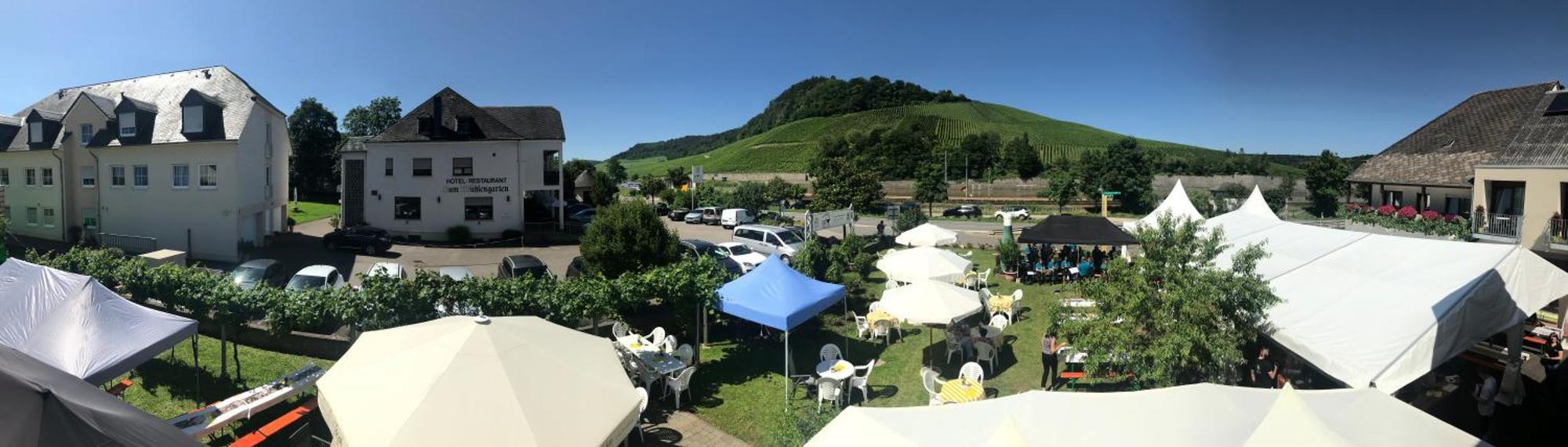 Gastehaus Und Weingut Bernd Frieden Hotell Nittel Exteriör bild