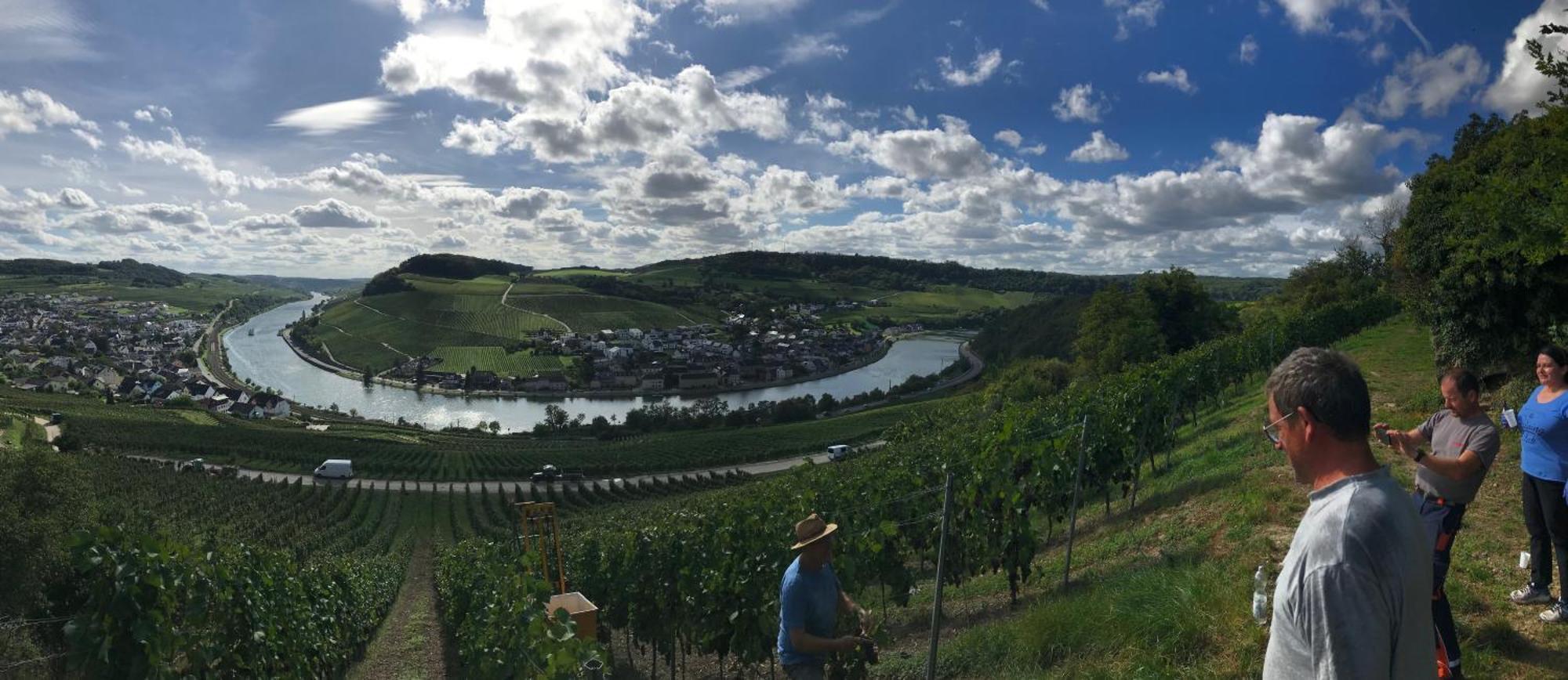 Gaestehaus Und Weingut Bernd Frieden Nittel Exteriör bild