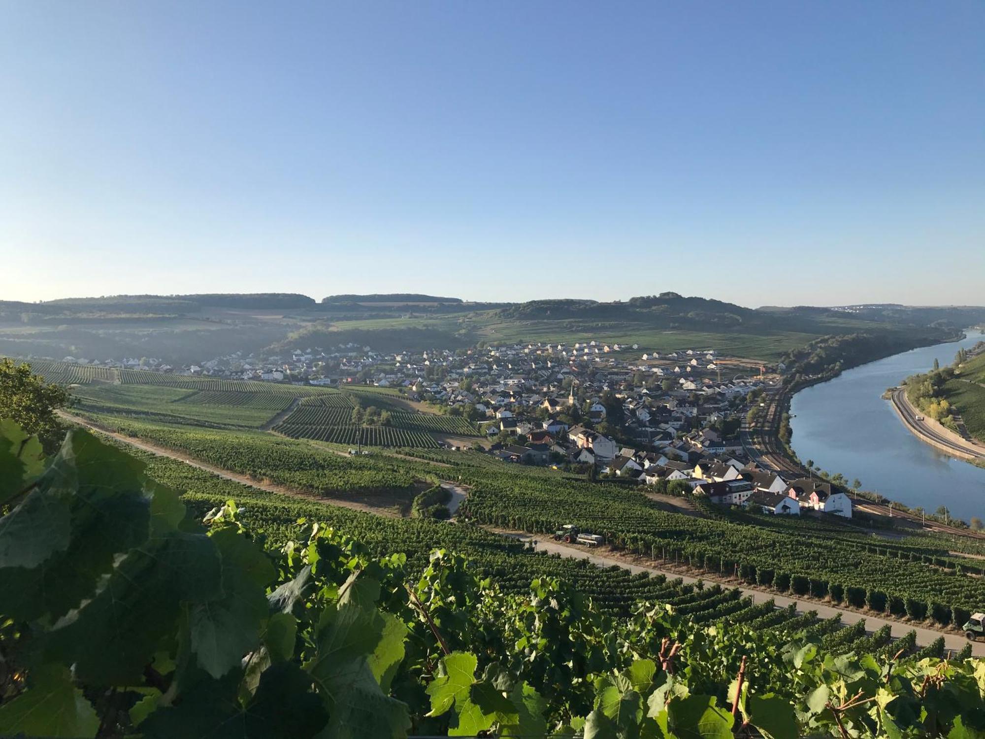 Gastehaus Und Weingut Bernd Frieden Hotell Nittel Exteriör bild