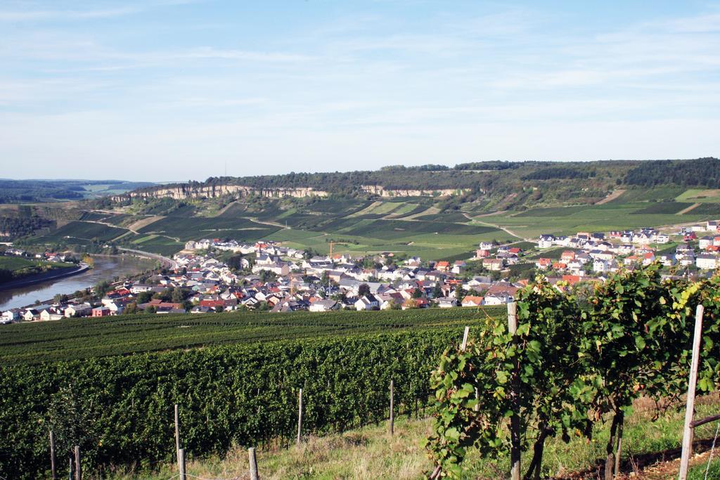 Gastehaus Und Weingut Bernd Frieden Hotell Nittel Exteriör bild